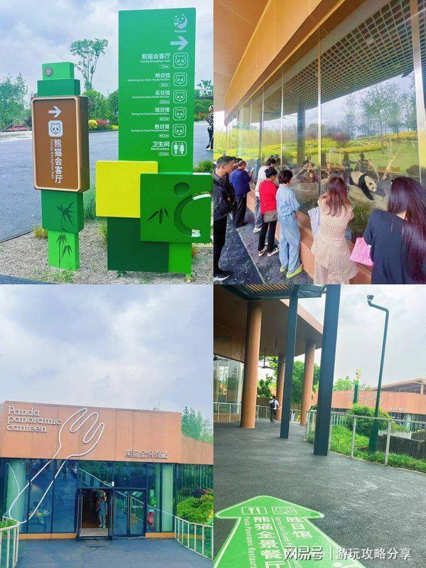 要多少钱 成都四日游【必读旅游指南】麻将胡了免费试玩两个人去成都玩三天(图2)